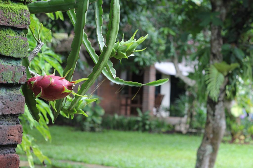 Timbis Homestay Bali Nusa Dua  Zewnętrze zdjęcie